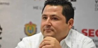 Rumbo al 2027 y 2030…¿Analizan PVEM y PT sobre alianza?