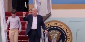 Trump rompió su amistad con Epstein porque le robó personal de su SPA