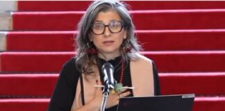 Destacados economistas respaldan informe de Francesca Albanese sobre “economía del genocidio” en Gaza.