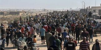 Más de 600 palestinos asesinados al buscar comida en Gaza