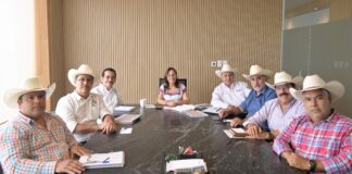 Rocío Nahle intensifica vigilancia y frena movilización de ganado sin control.