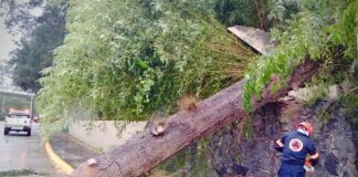 Ayuntamiento de Xalapa, en alerta por lluvias.