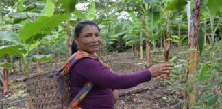 Redadas del ICE agravan violencia estructural contra jornaleras migrantes en California.