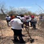 Mujeres buscadoras: el rostro femenino de las desapariciones en México