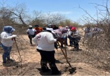 Mujeres buscadoras: el rostro femenino de las desapariciones en México