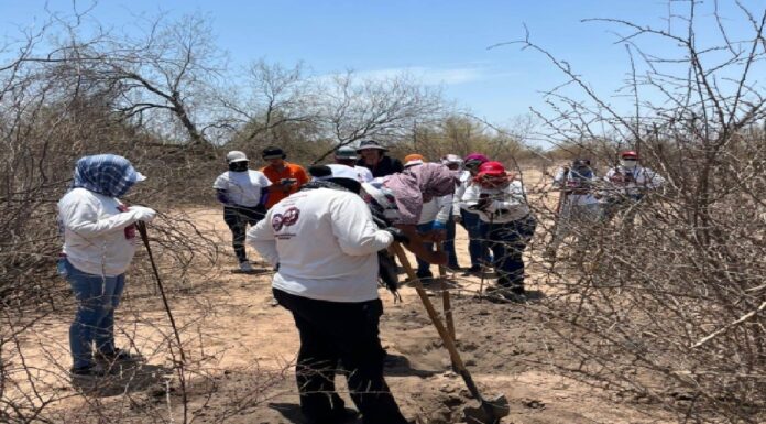 Mujeres buscadoras: el rostro femenino de las desapariciones en México