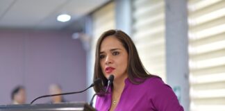 Paridad de género en elección de agentes y subagentes municipales, pide diputada.