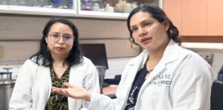 Vinculan compuesto químico a cáncer de mama.