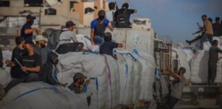 Israel activa pausas humanitarias en Gaza para refutar falsedad de hambruna deliberada.