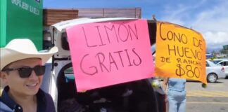 Productores de limón de Emiliano Zapata regalaron su producto .