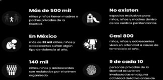 México carece de estrategia nacional para atender el creciente feminicidio infantil: Reinserta
