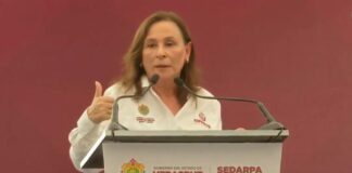 #Veracruz: Rocío Nahle anuncia cerco sanitario “durísimo” por nuevo caso de Gusano Barrenador.