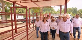 Camionetitas de sanidad animal, parte de la estrategia de prevención y combate al gusano barrenador en Veracruz: Rocío Nahle