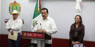 Vigilancia permanente para evitar propagación del gusano barrenador: Sedarpa.