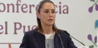 Presidenta Sheinbaum presentará demanda por Difamación contra Jeffrey Lichtman abogado de Ovidio.