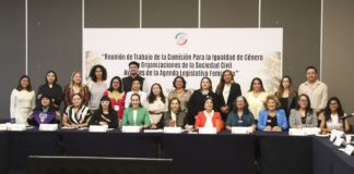 Organizaciones feministas proponen a Senadoras avances en los temas de la agenda feminista