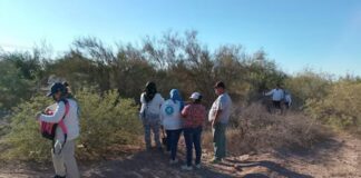 Casos de feminicidio en Hermosillo, ocurrieron en municipio con Alerta por Violencia de Género ¿Qué falla?.