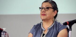 Renuncia Teresa Guadalupe Reyes a Comisión de Búsqueda; SEGOB alista consulta.