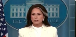 Directora nacional de inteligencia señala a Obama de fabricar el rusiagate en la elección de Trump en 2016.