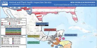 EEUU cierra comercio de ganado en puertos de entrada del sur por caso de gusano en #Veracruz