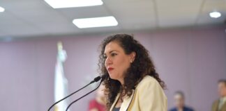 Plantea diputada otorgar estímulos fiscales por uso de energías limpias.