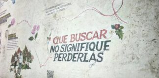 “De alto riesgo” la labor de mujeres buscadoras. 16 fueron víctimas de feminicidio: AI