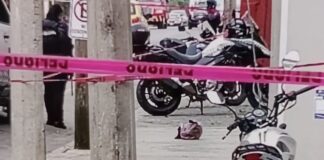 #Veracruz: Detienen a sujeto que deambulaba con una cabeza humana en Coatepec.