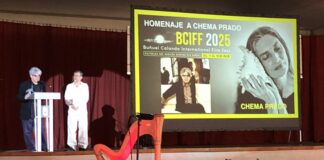 Película francesa “Por todo lo alto”, gana premio del público a mejor largometraje