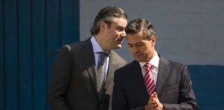 El “niño ñoño Nuño”, defensor de EPN .
