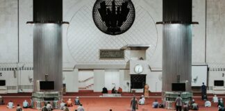 Invita SECVER a Seminario virtual de Meditación Cultural Comunitaria