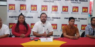 González Naveda anuncia que propondrá sancionar con mayor rigor la tala ilegal.