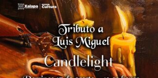 Cine, conciertos, teatro y más, esta semana en Xalapa .