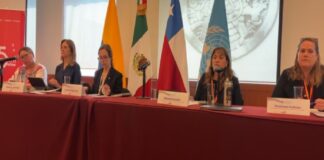 Invisibilizadas las mujeres migrantes, pilares del sistema de cuidados: Red Mesoamericana.