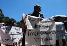 Ofelia Medina, Berta Zúñiga, Giménez Cacho, entre otros, exigen liberación del defensor tseltal Manuel Sántiz