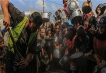 Israel rechaza informe de monitor mundial del hambre sobre Gaza.