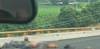 Investigan hallazgo de restos humanos en Papantla.