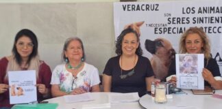En Xalapa denuncian clínicas veterinarias con médicos sin cédula profesional.