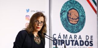 Propone María Elena Pérez-Jaén comparecencia de Audomaro Martínez para que informe sobre crímenes de “La Barredora”