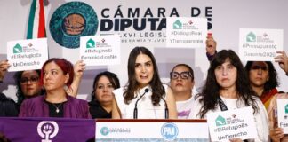 Exige Mariana Jiménez un Presupuesto garante y sostenible en 2026 para refugios y centros de atención externa.