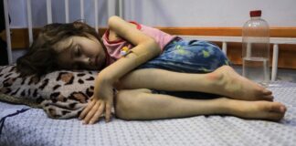 Gaza: Más de 100 niños muertos por desnutrición y hambre.