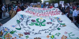 A 11 años de lucha incansable sin los 43 .