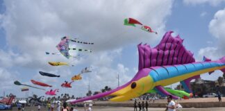 Invita SECVER a disfrutar de los papalotes gigantes durante el Festival del Mar