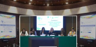 Avances sobre el cuidado son amenazados por ultraderecha: Parlamentarias de AL y Caribe.