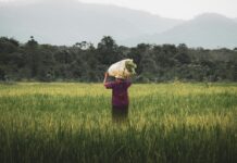 Acuerdo de Escazú, el primer tratado que protege a defensoras ambientales