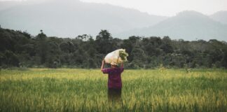 Acuerdo de Escazú, el primer tratado que protege a defensoras ambientales