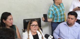 Buscan desde el Congreso local generar un Plan de Desarrollo e Inclusión de Personas con Discapacidad.