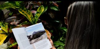 Invita Ayuntamiento a la presentación de “La Crónica de Xalapa”