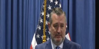 Ted Cruz recomienda a México acepte ayuda de EEUU para acabar con cárteles.