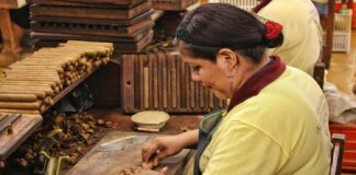 Mexicanas fueron excluidas del resultado antipobreza de la 4T.