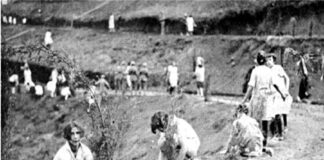 Xalapa en la Historia recuerda reforestación del Macuiltepetl en los 40s